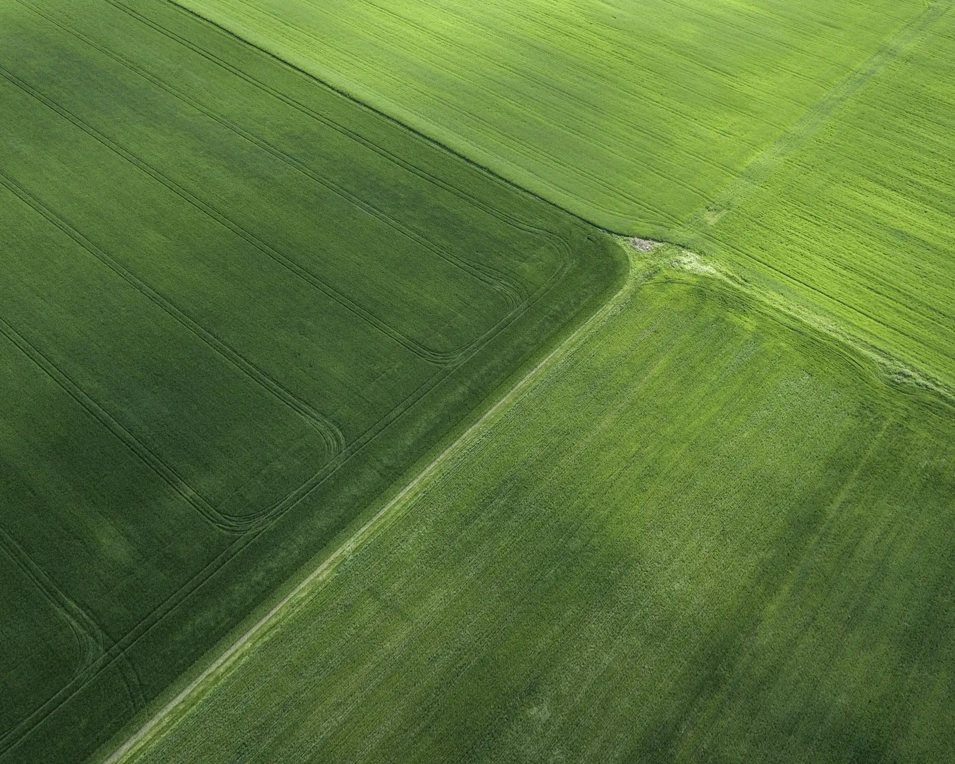 SOIL CONDITIONS