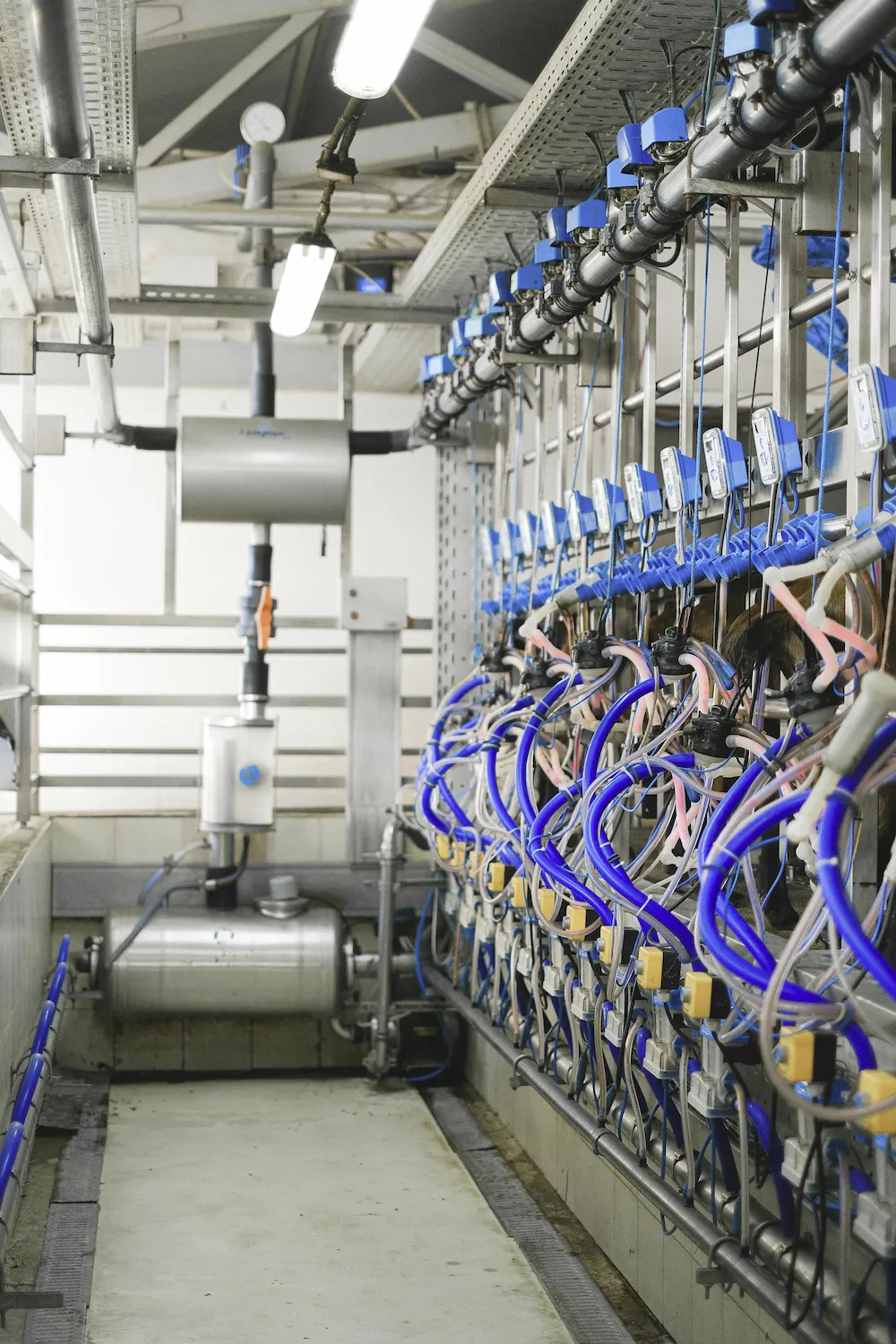 PRESSURE AND FLOW IN REFRIGERATION CIRCUITS